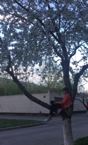 girl in tree